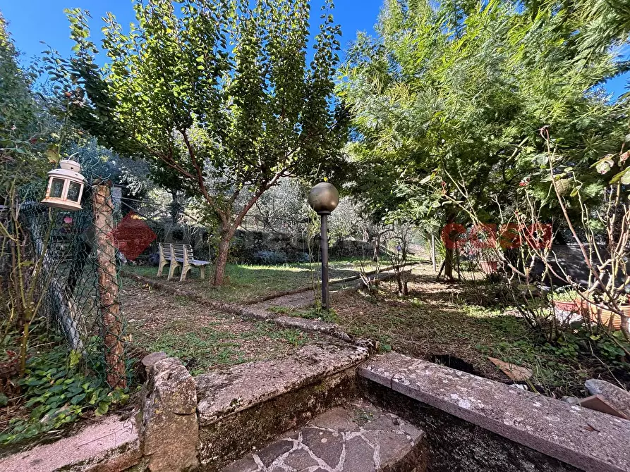 Immagine 6 di Terreno agricolo in vendita  in Via Vignali, snc a Sgurgola