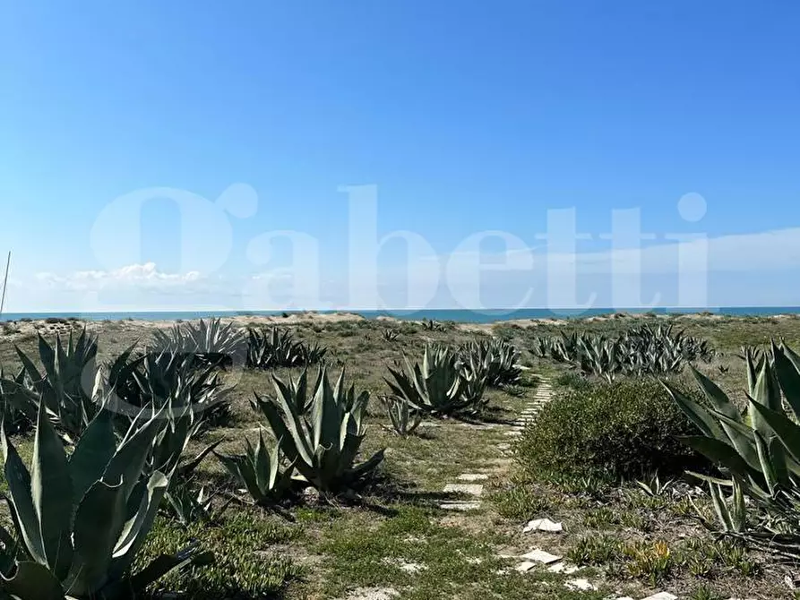 Immagine 19 di Appartamento in vendita  in Via lungomare degli ardeatini, 59 a Ardea