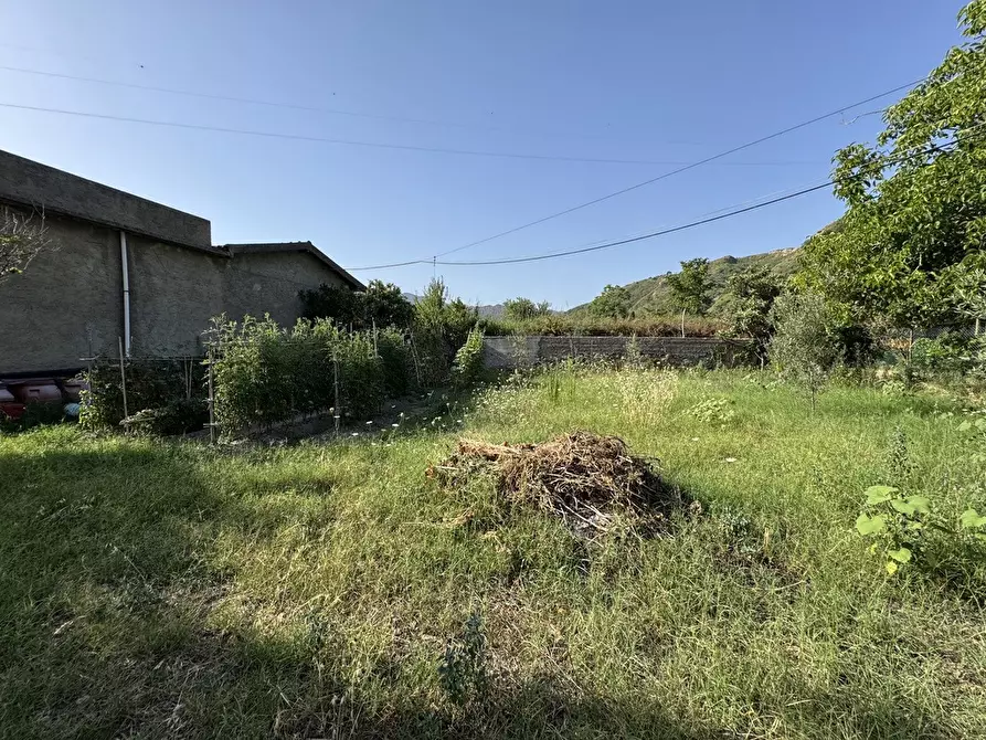 Immagine 8 di Terreno agricolo in vendita  in Strada comunale, snc a Rometta
