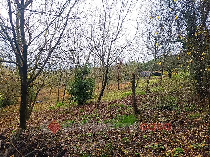 Immagine 7 di Terreno agricolo in vendita  in Via Monteluce Via Monterone a Perugia