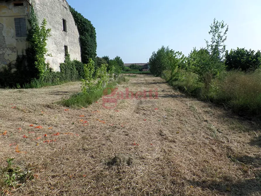 Immagine 3 di Terreno residenziale in vendita  in Via Falzoni, 135 a Cento