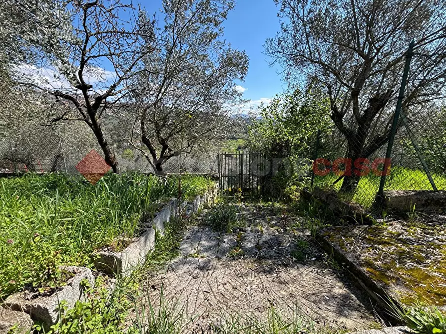 Immagine 23 di Casa indipendente in vendita  in Strada Vicinale San Vincenzo, snc a Anagni