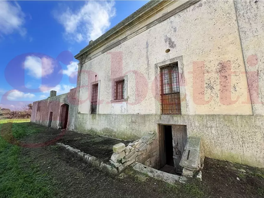 Immagine 31 di Villa in vendita  in Via stazione, snc a Zollino