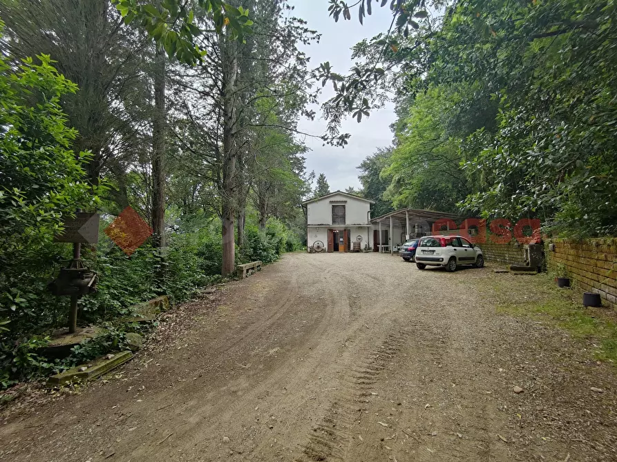 Immagine 9 di Terreno agricolo in vendita  in Via di castagneto a Empoli