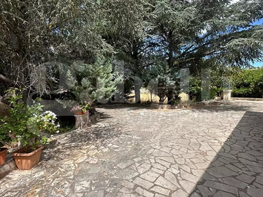 Immagine 4 di Villa in vendita  in Contrada San Benedetto, sn a Ostuni