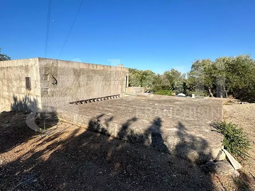 Immagine 14 di Terreno agricolo in vendita  in Contrada Salinola a Ostuni