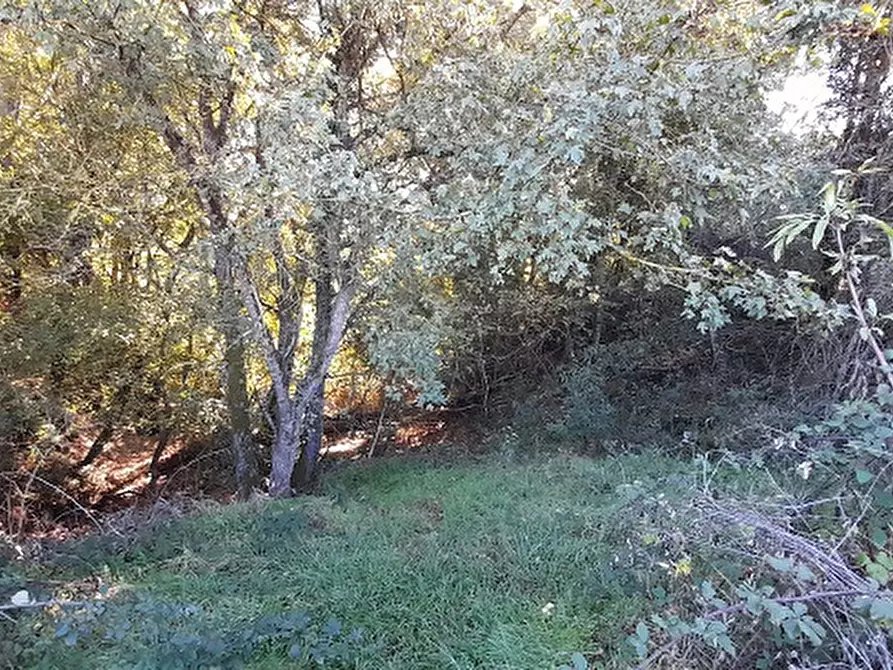 Immagine 8 di Terreno agricolo in vendita  in Via DELLA MOLA, 00 a Manziana