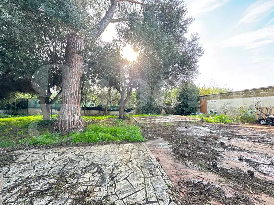 Immagine 5 di Casa bifamiliare in vendita  in Via tirso, 48 a Ardea