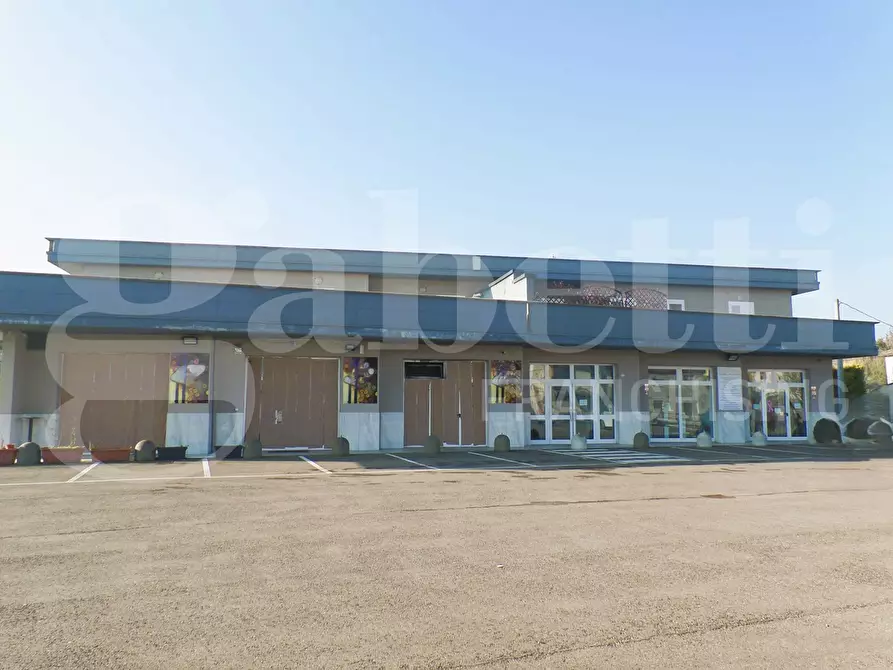 Immagine 5 di Appartamento in vendita  in Via per Modena, 129 a Finale Emilia