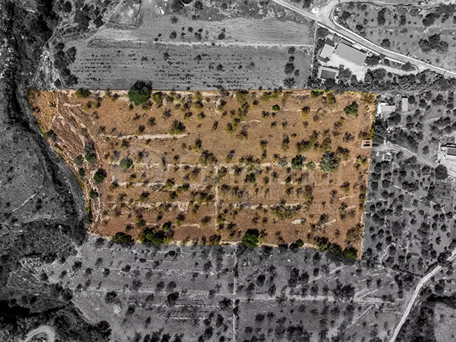 Immagine 4 di Terreno residenziale in vendita  in Contrada PETRARA, 0 a Avola