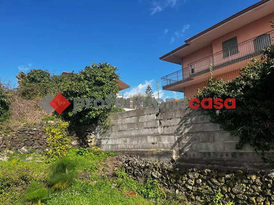 Immagine 5 di Terreno agricolo in vendita  in Via Mediterraneo, 2 a Mascalucia