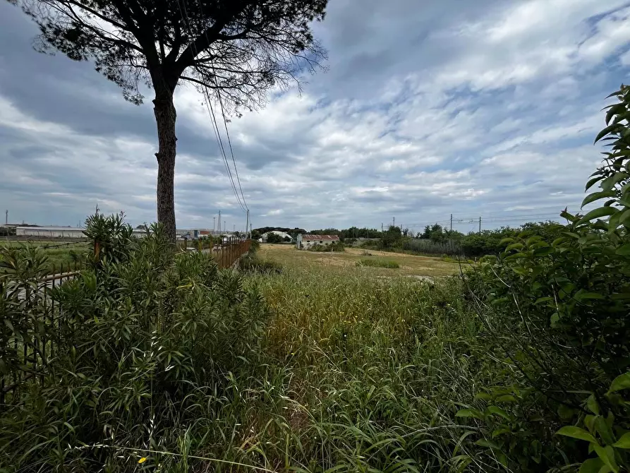 Immagine 4 di Terreno residenziale in vendita  in Via FOGGIA, SC a San Severo