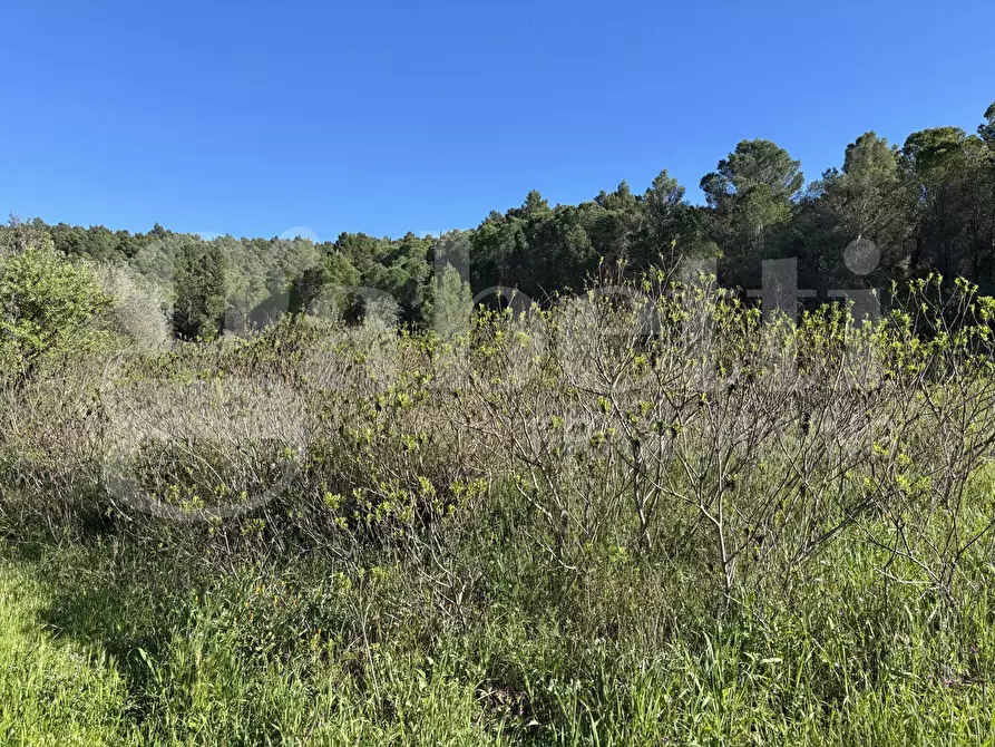 Immagine 27 di Rustico / casale in vendita  in Contrada Petraro, snc a Chiaramonte Gulfi