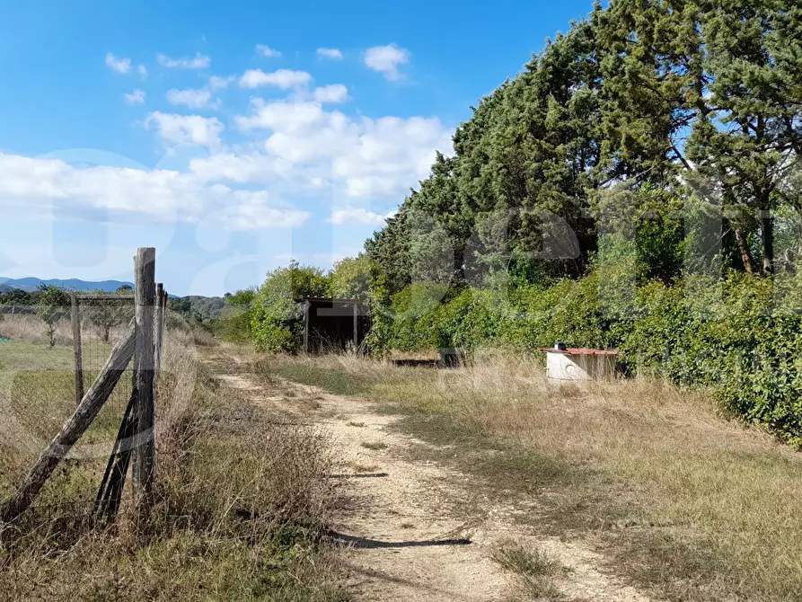 Immagine 3 di Terreno agricolo in vendita  in Via CASALE DELLE PIETRISCHE, 00 a Manziana