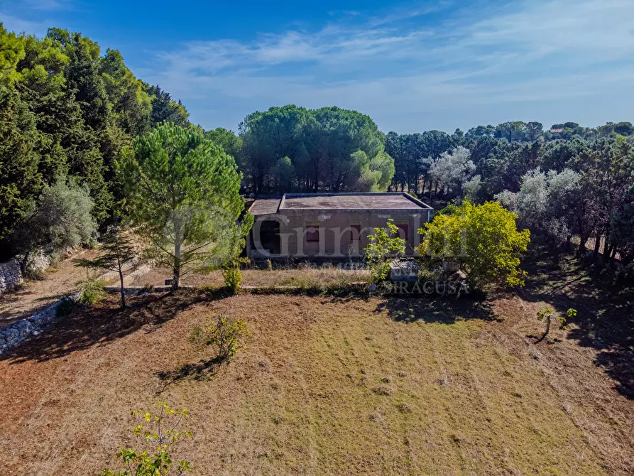 Immagine 11 di Terreno agricolo in vendita  in Via Cava Grande, 1 a Avola