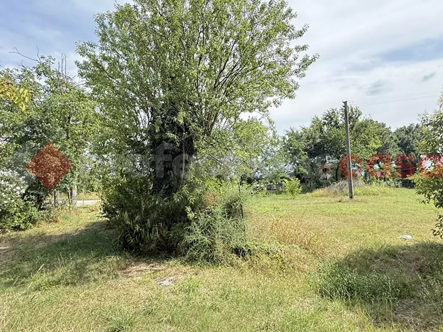 Immagine 11 di Casa indipendente in vendita  in Via sacro cuore, 10 a Alatri