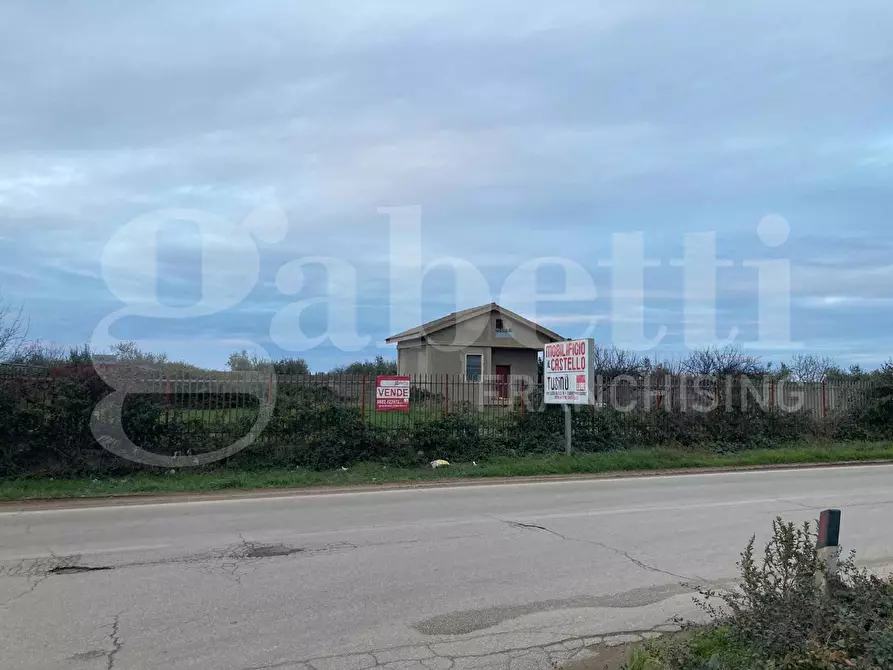 Immagine 4 di Terreno agricolo in vendita  in Strada provinciale 30, 0 a Torremaggiore