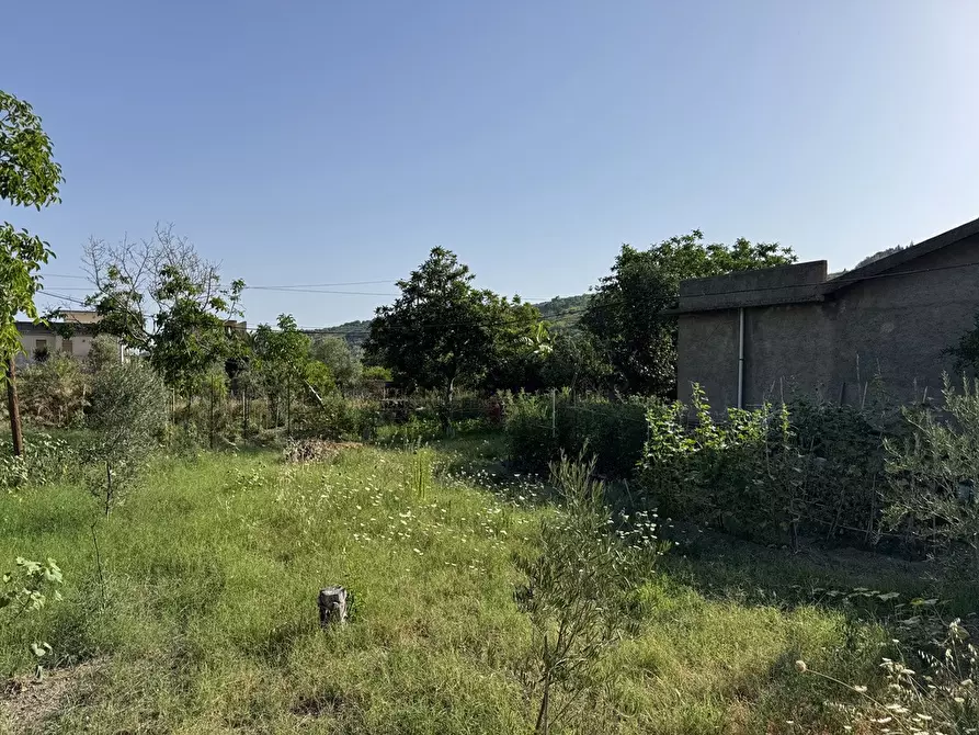 Immagine 2 di Terreno agricolo in vendita  in Strada comunale, snc a Rometta