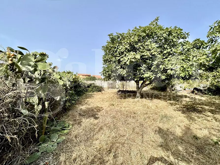 Immagine 5 di Terreno agricolo in vendita  in Via Alessandrini, snc a Maracalagonis