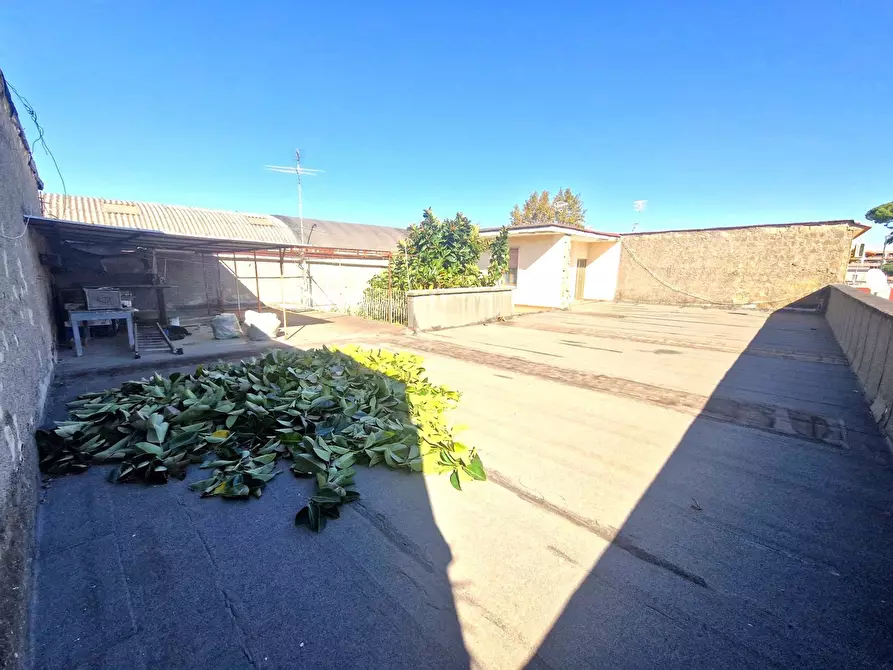 Immagine 16 di Palazzo in vendita  in Via Filippo Maria Briganti a Napoli