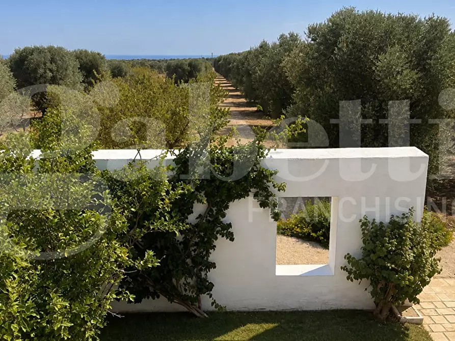 Immagine 2 di Villa in vendita  in Contrada Tamburroni, sn a Ostuni
