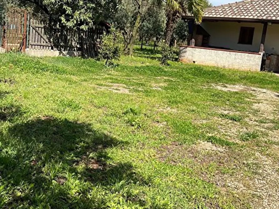 Immagine 3 di Terreno agricolo in vendita  in Via Raoul Morelli, 133 a Lamezia Terme