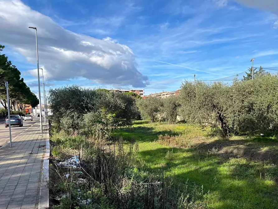 Immagine 5 di Terreno residenziale in vendita  in Via LITTERO a San Severo