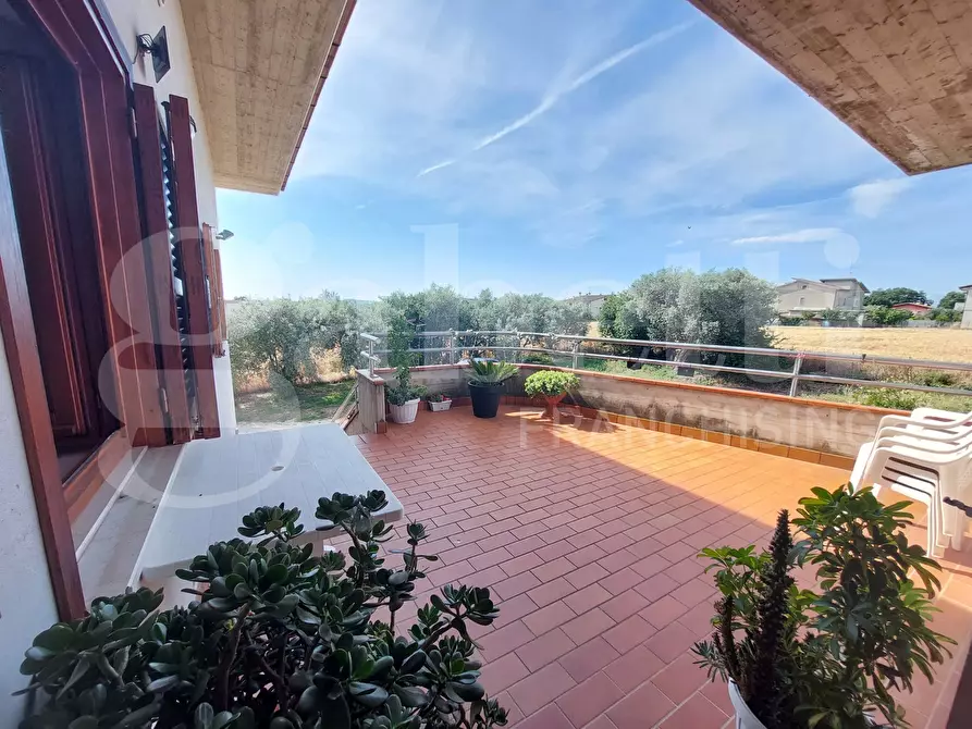 Immagine 5 di Casa quadrifamiliare in vendita  in Viale Piane di San Donato, 32 a Corropoli