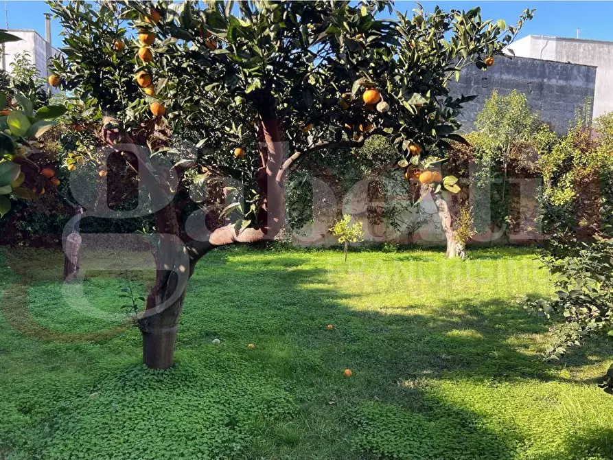 Immagine 22 di Villa in vendita  in Piazza Maria SS. del Rosario, 3/B a Guagnano