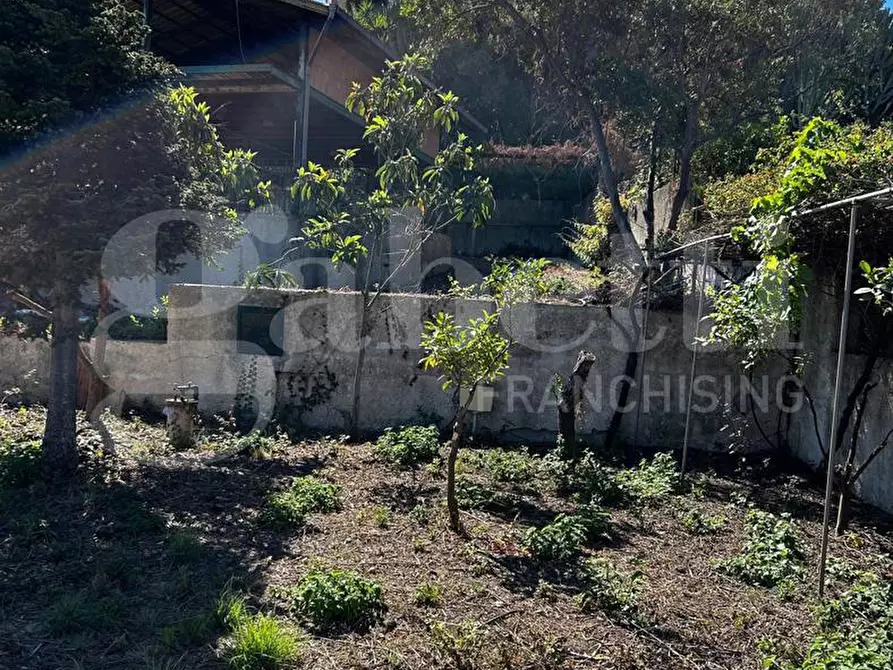 Immagine 5 di Terreno agricolo in vendita  in Contrada Ortoliuzzo, snc a Messina