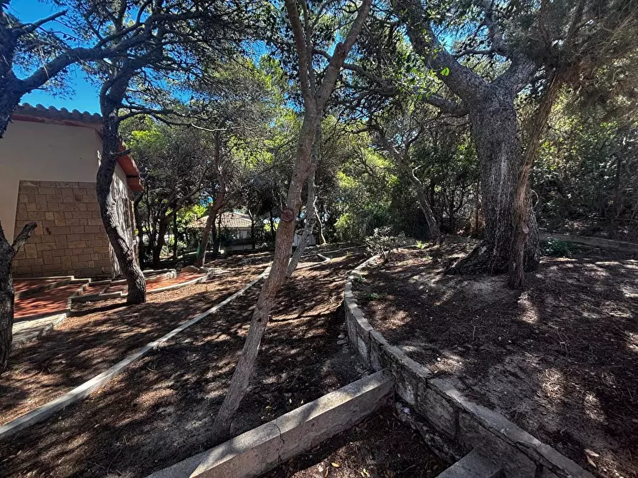 Immagine 3 di Villa in vendita  in LocalitÃ  Porto Pino, snc a Sant'anna Arresi