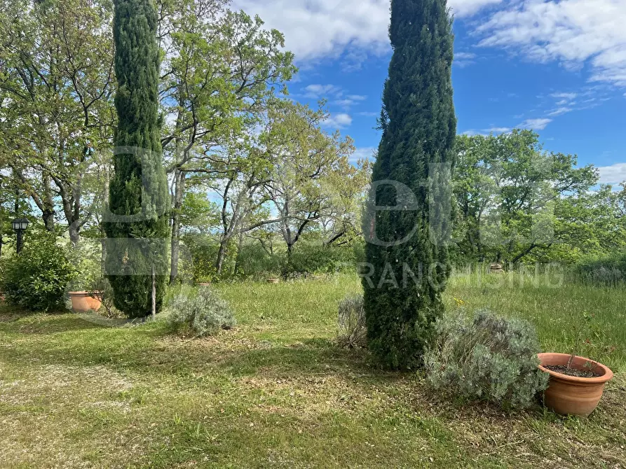 Immagine 41 di Rustico / casale in vendita  in Via di Vitozza, 16 a Sorano