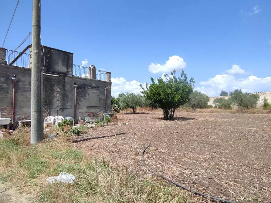 Immagine 8 di Terreno agricolo in vendita  in Via SAN ROCCO, SNC a San Severo