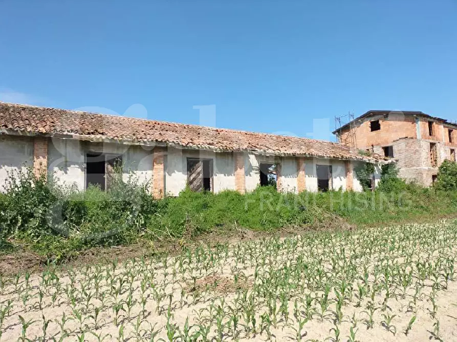 Immagine 12 di Rustico / casale in vendita  in Via Cavarzere, LocalitÃ  Ribasso, 6 a Cavarzere