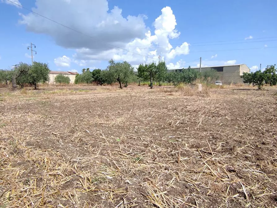 Immagine 16 di Terreno agricolo in vendita  in Via SAN ROCCO, SNC a San Severo