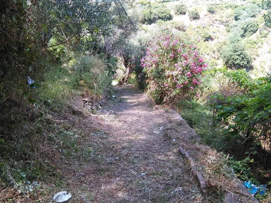 Immagine 3 di Terreno agricolo in vendita  in Via Comunale Catarratti, 106 a Messina