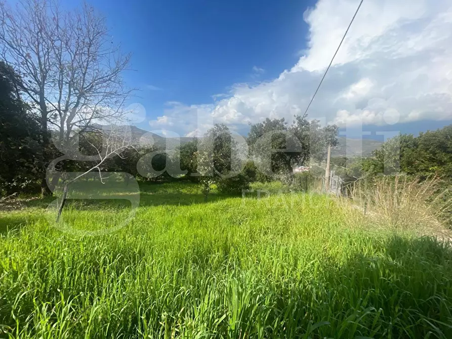 Immagine 10 di Terreno agricolo in vendita  in LocalitÃ  Monte a Mare, s.n.c a Gaeta