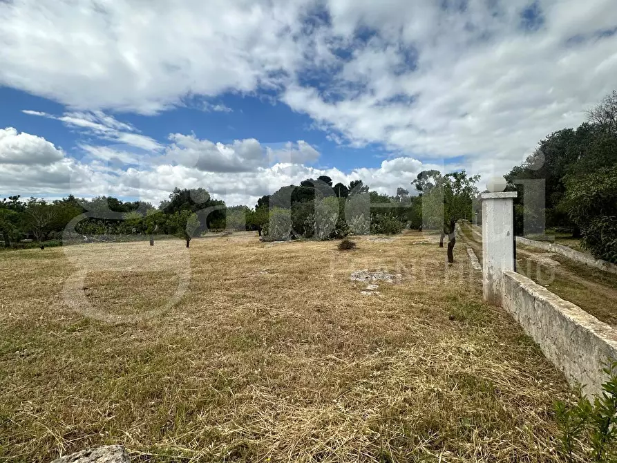 Immagine 23 di Villa in vendita  in Contrada Acquarella, sn a Ostuni