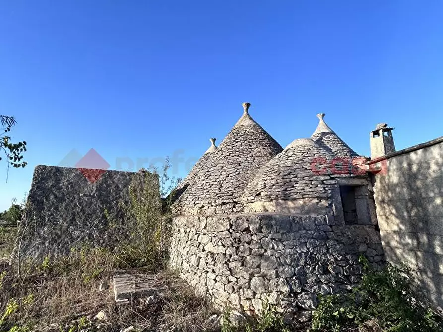 Immagine 3 di Baita in vendita  in Via San Domenico dello Scannio, snc a Martina Franca