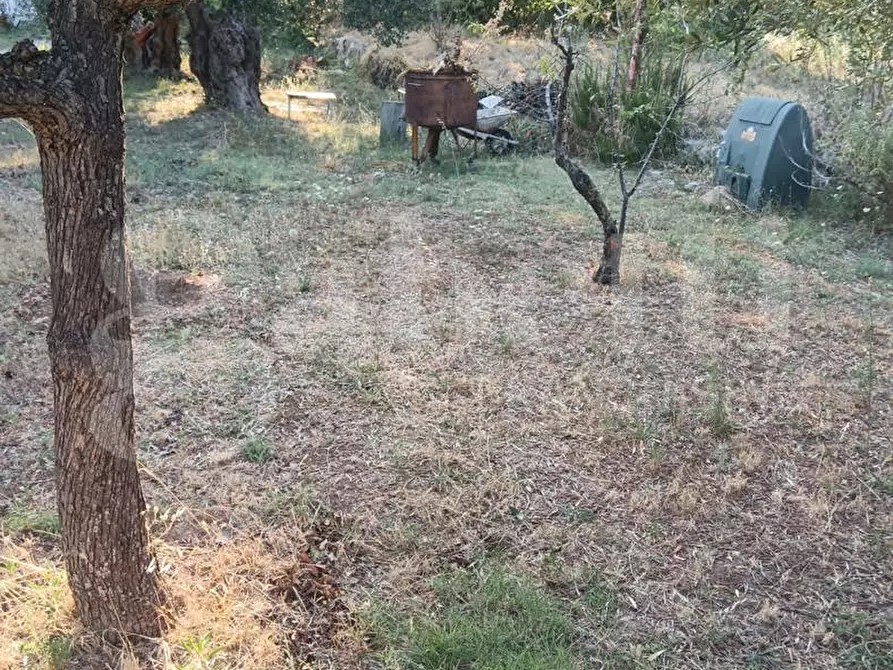 Immagine 2 di Terreno residenziale in vendita  in Via ROSSINI, SNC a Crispiano