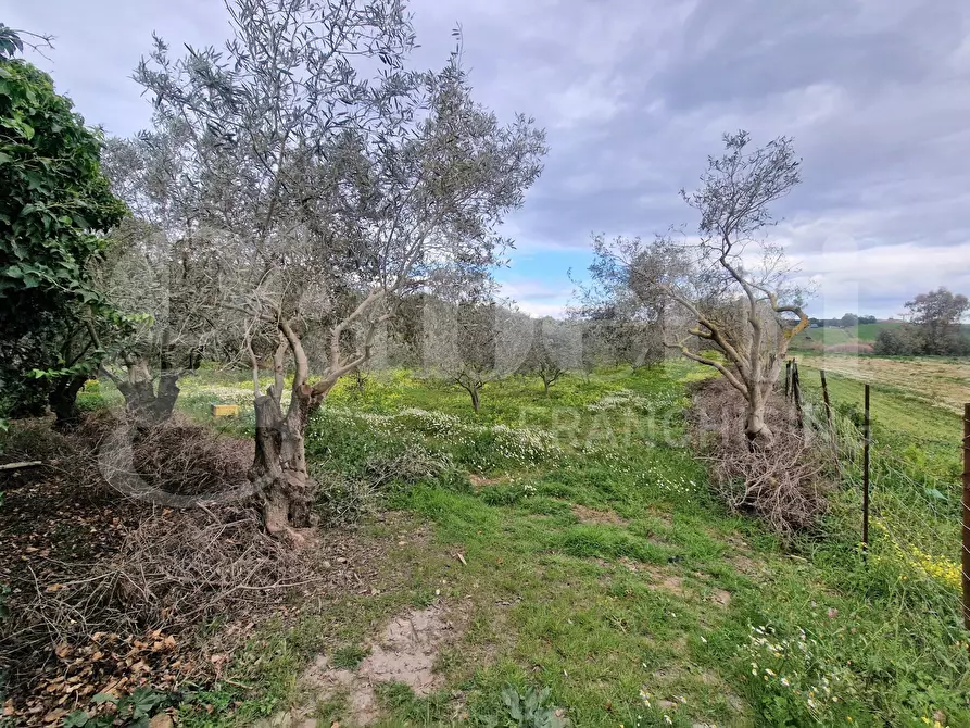 Immagine 3 di Terreno residenziale in vendita  in Via ss131, snc a Sestu