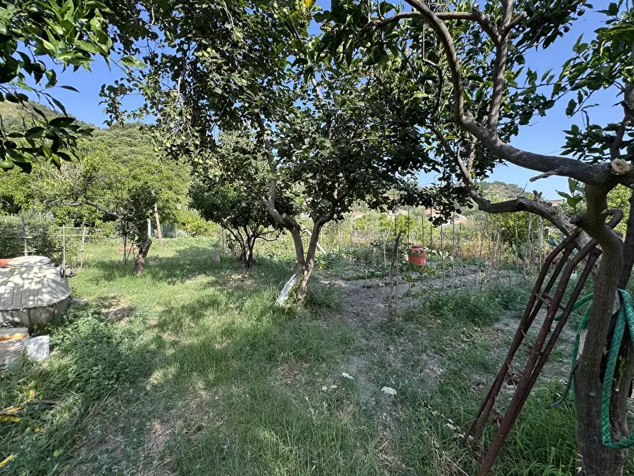 Immagine 10 di Terreno agricolo in vendita  in Strada comunale, snc a Rometta