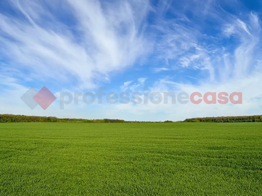 Immagine 5 di Terreno agricolo in vendita  in Via casilina, snc a Anagni