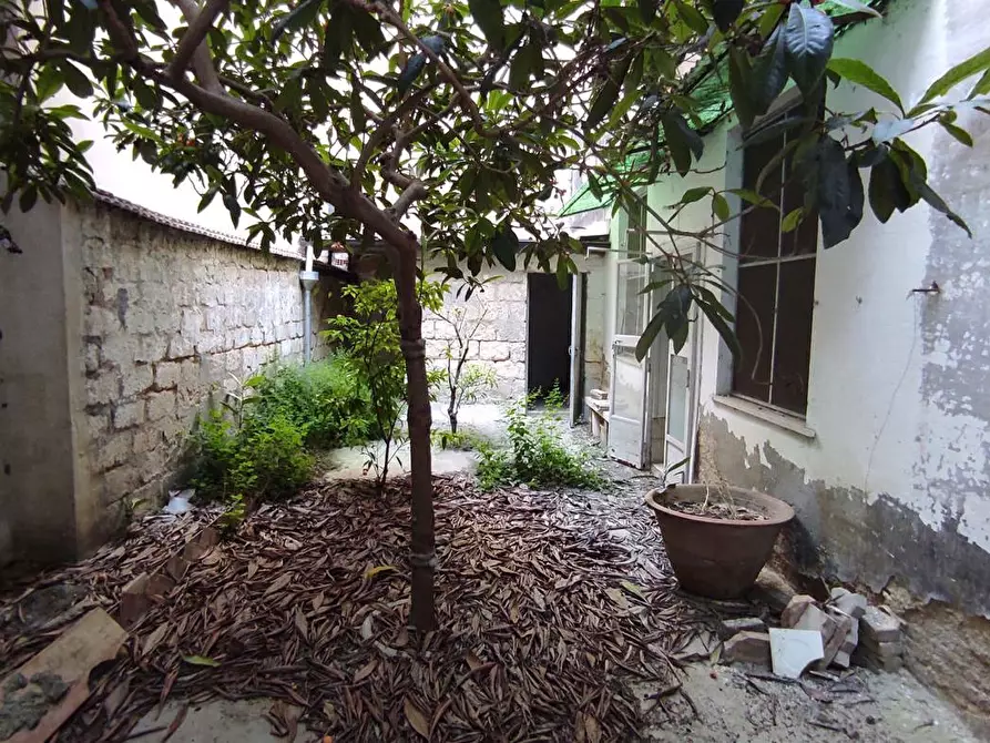 Immagine 9 di Casa indipendente in vendita  in Via DEI MILLE a San Severo