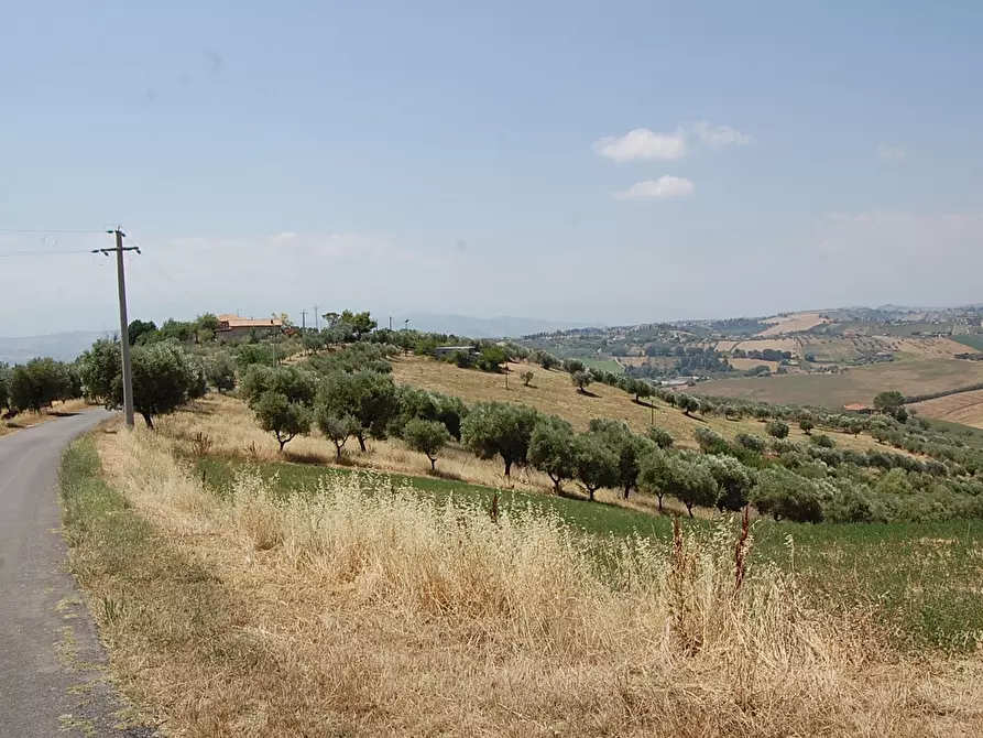 Immagine 1 di Terreno agricolo in vendita  in Via Torrenera a Morro D'oro