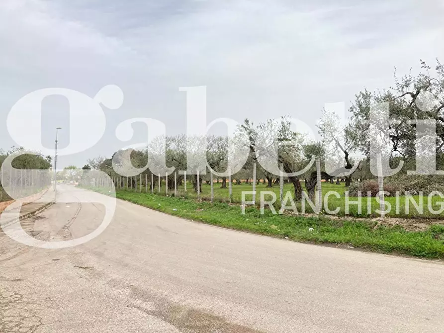 Immagine 7 di Terreno residenziale in vendita  in Strada vicinale guadone, snc a San Severo