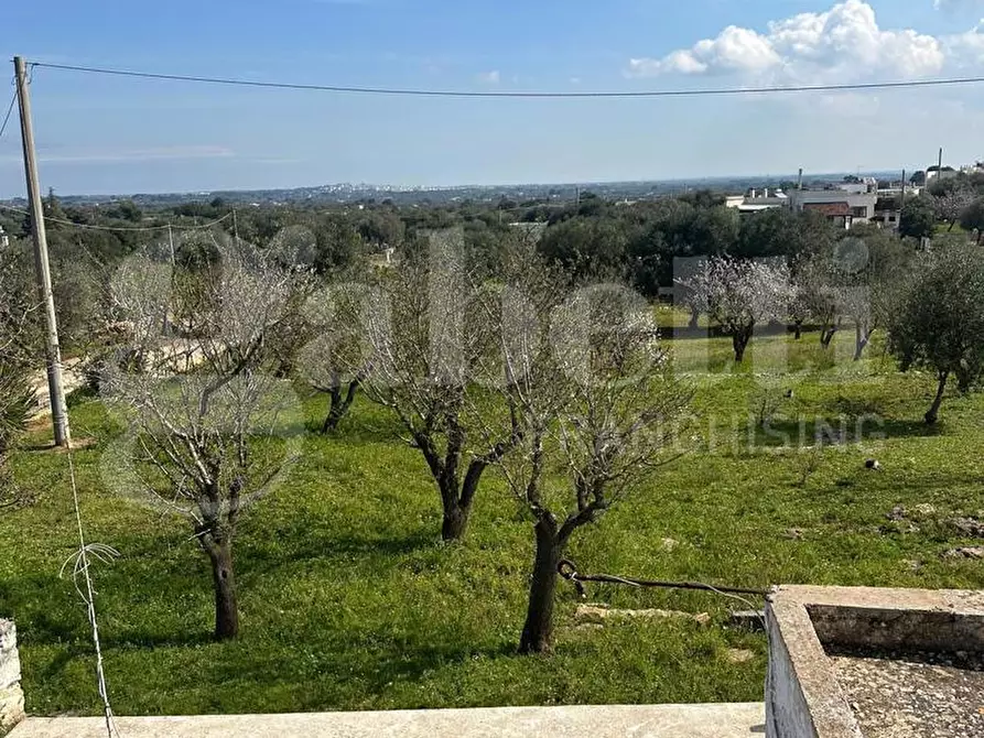 Immagine 5 di Villa in vendita  in Contrada Salinola, sn a Ostuni