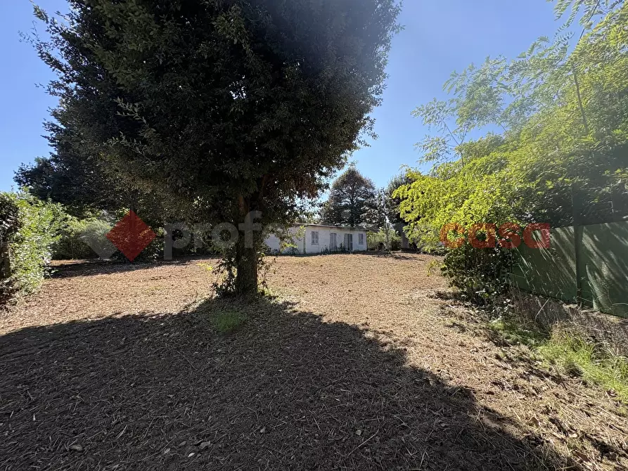 Immagine 3 di Casa indipendente in vendita  in Via SAN FELICE CIRCEO TRAVERSA DESTRA, 10 a Terracina