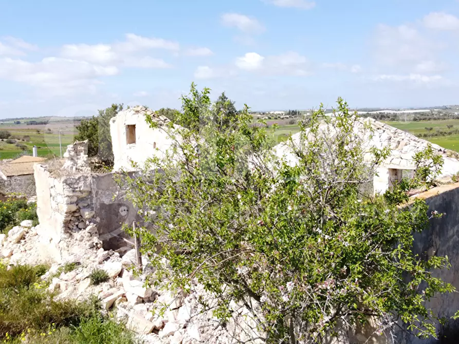 Immagine 3 di Terreno agricolo in vendita  in Strada provinciale, 56 a Noto
