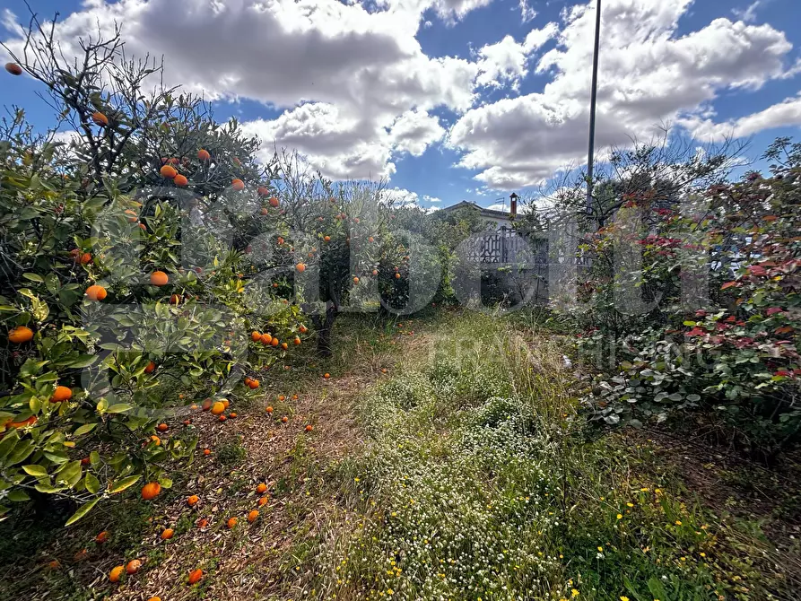Immagine 11 di Casa indipendente in vendita  in Via Muratori, 39 a Vallermosa